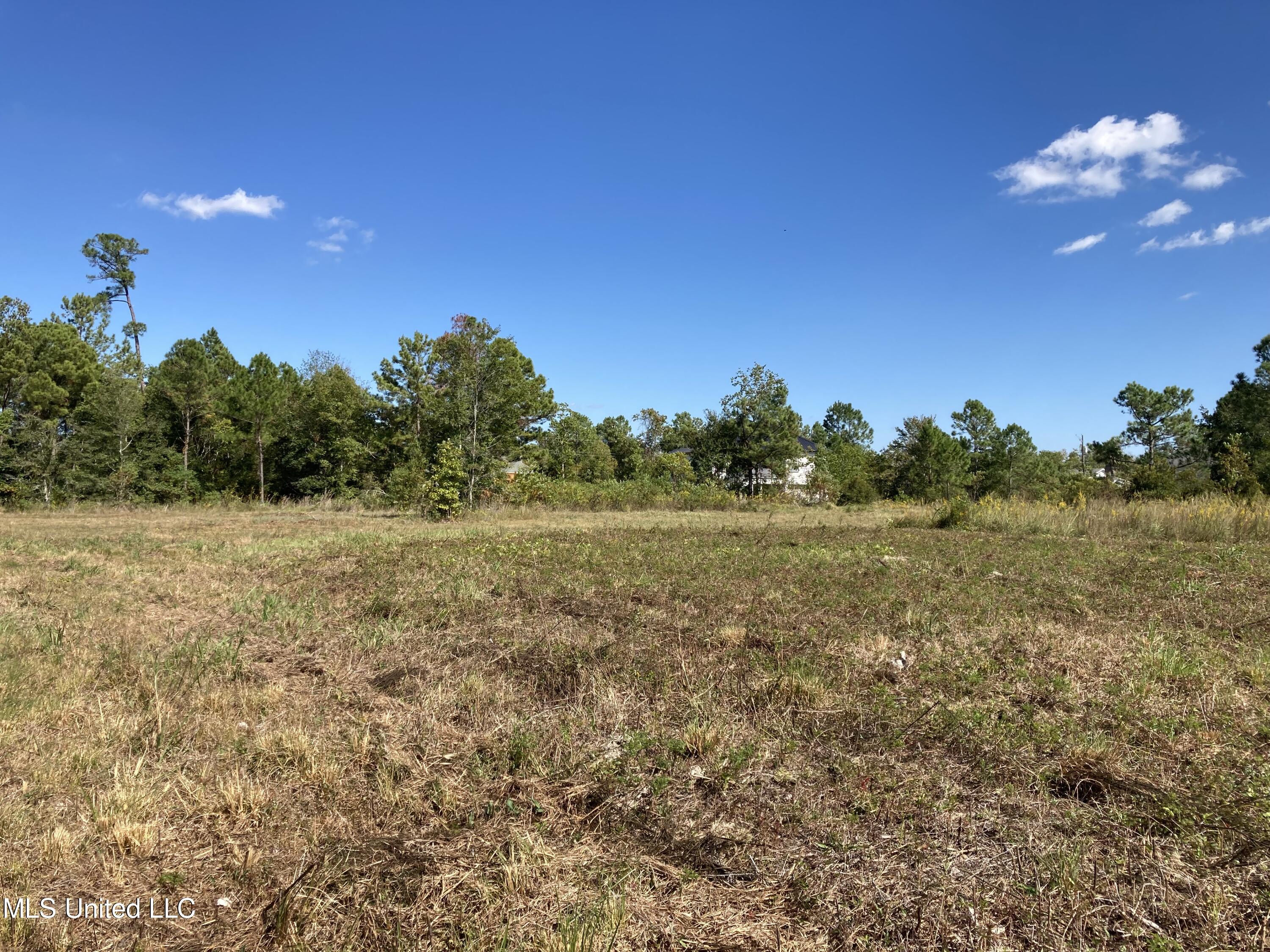 Nsn Favre Street, Waveland, Mississippi image 5