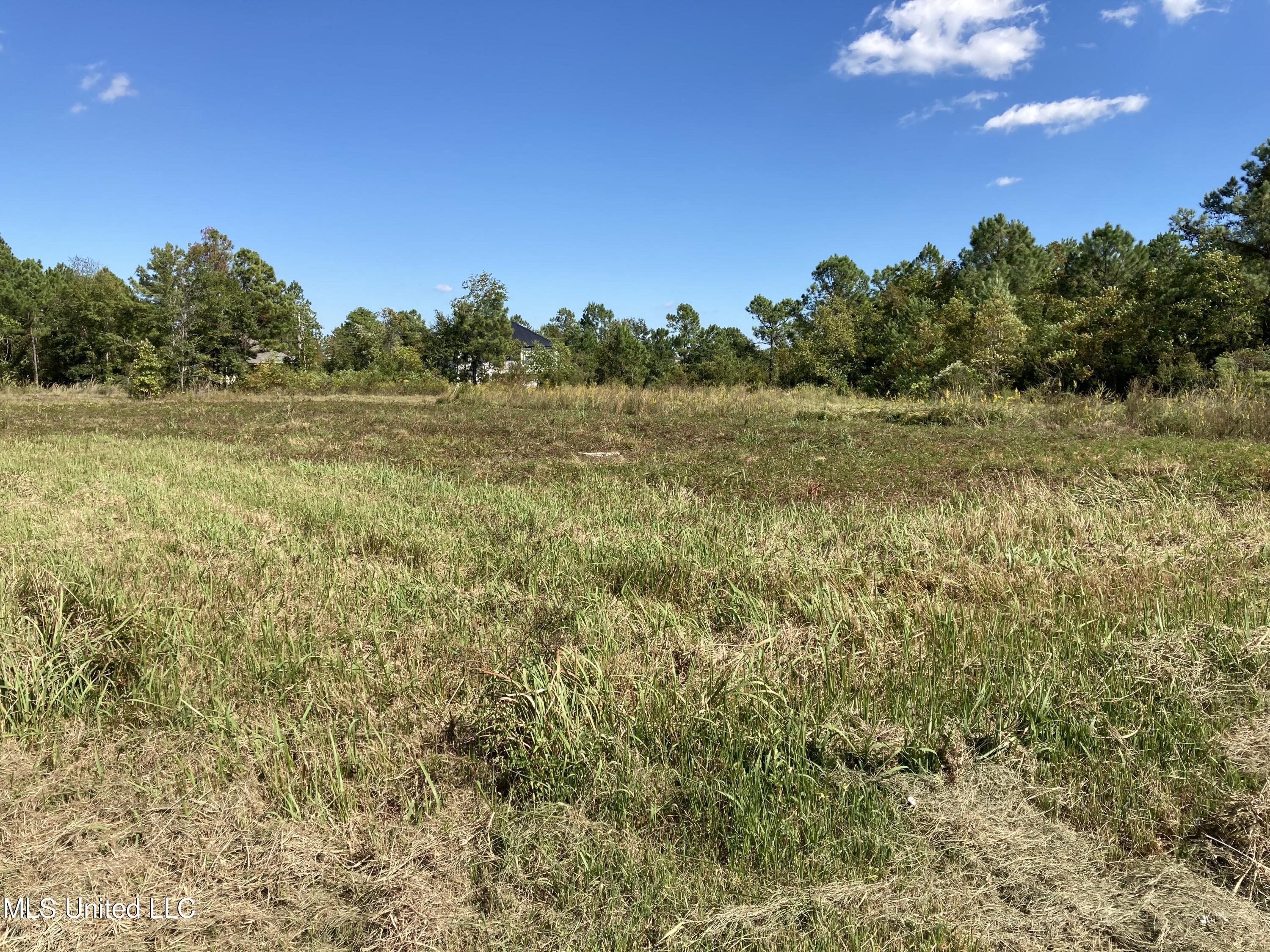 Nsn Favre Street, Waveland, Mississippi image 4