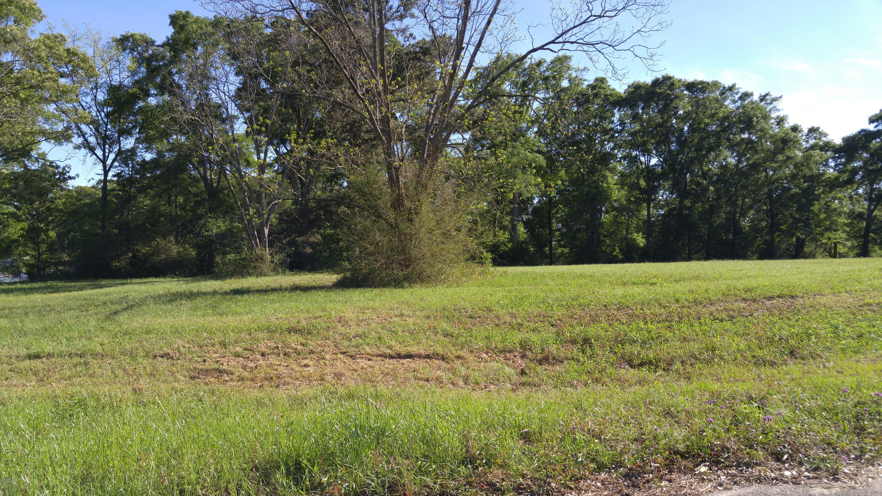 Lot 33 Oak Haven Drive, Poplarville, Mississippi image 6