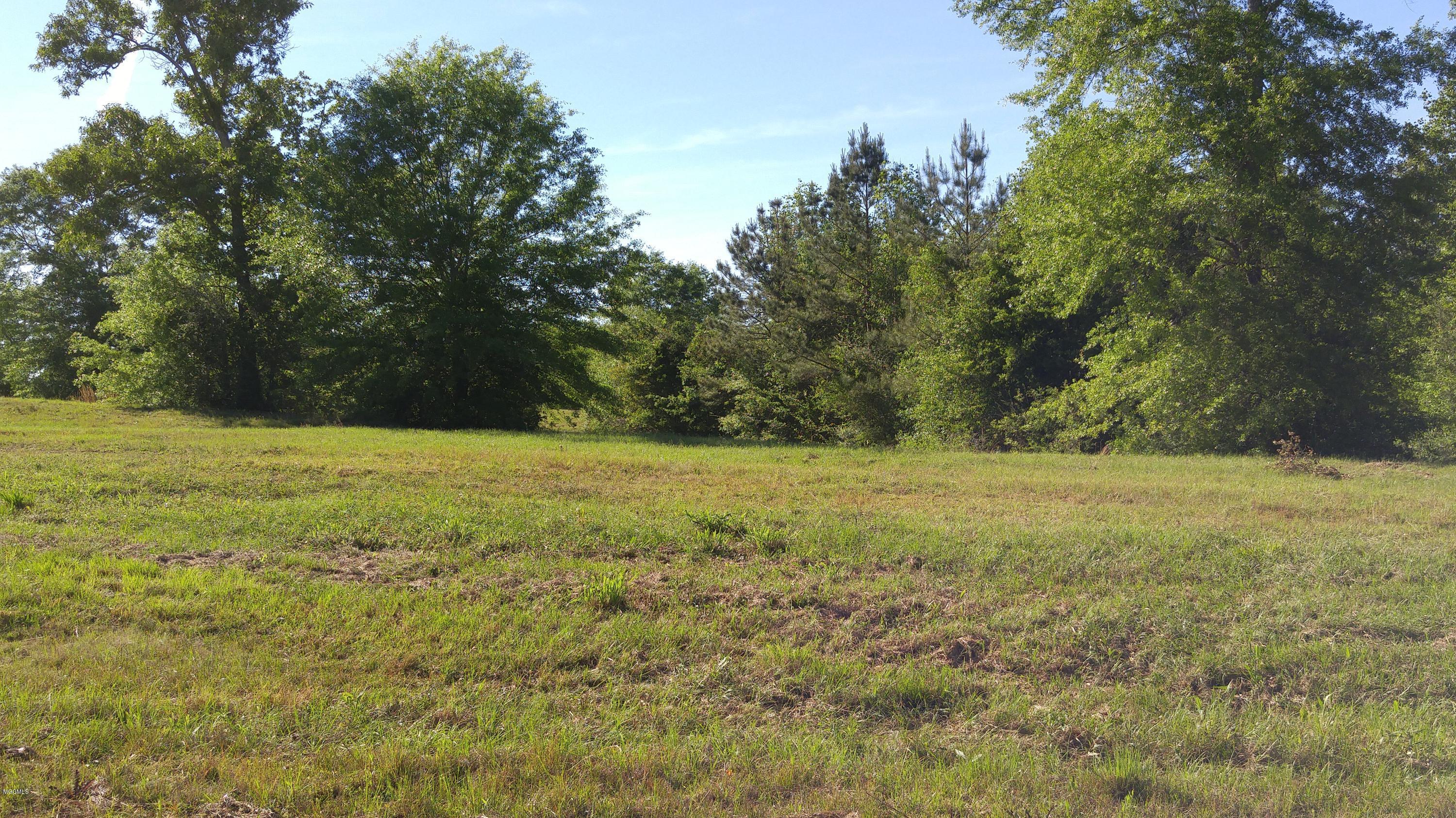 Lot 33 Oak Haven Drive, Poplarville, Mississippi image 3