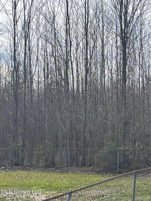 ADDRESS PRIVATE, JONESVILLE, LA 71343 - Image 40d2ee2ac8a3ac239b7fc2045fba5c0d/3196689031