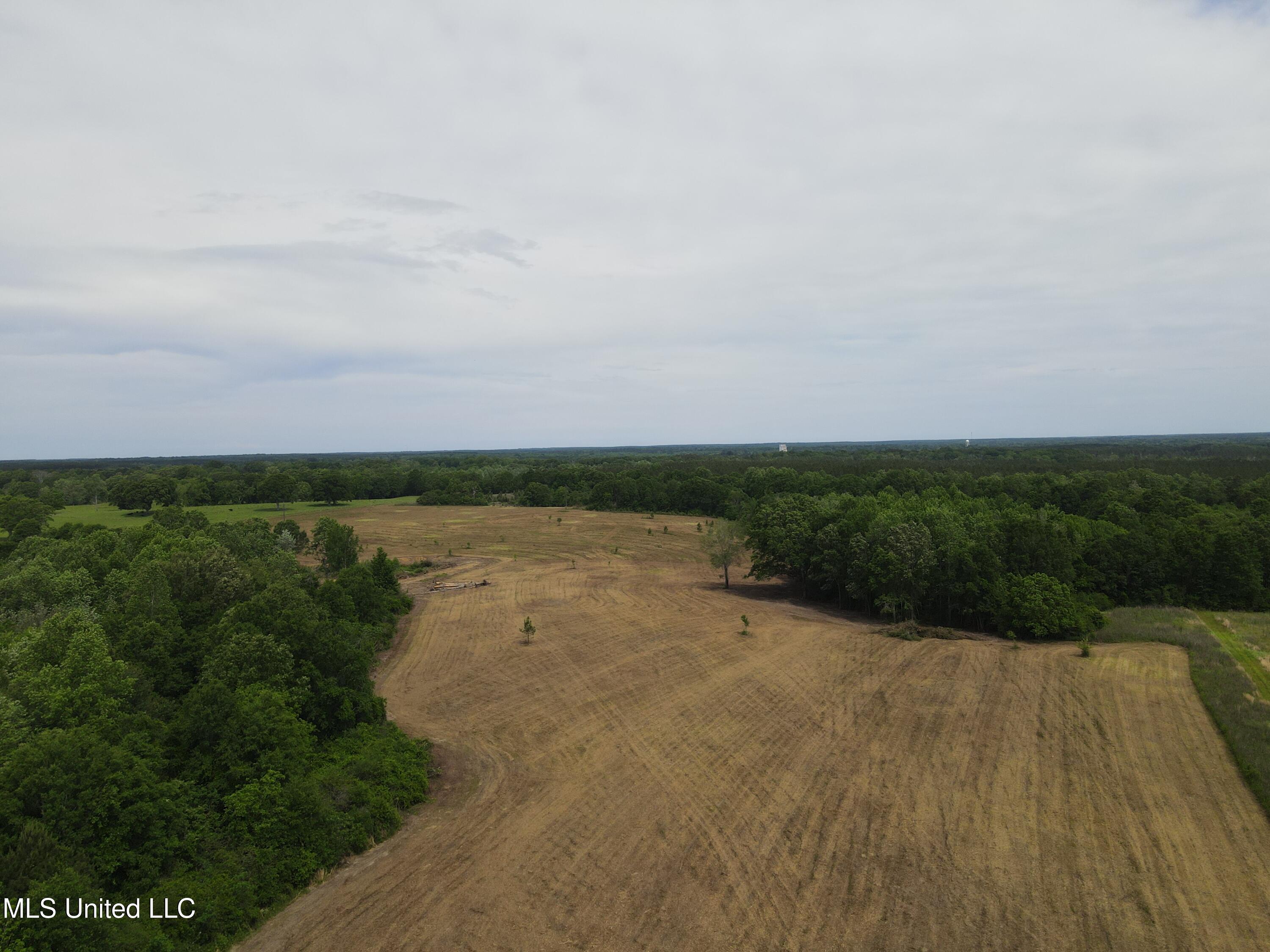 Lester Seals Road, Poplarville, Mississippi image 1
