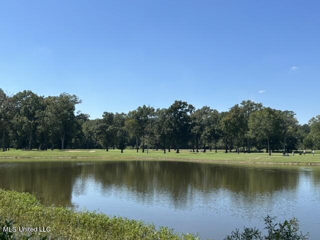 Audubon Woods, Canton, Mississippi image 5