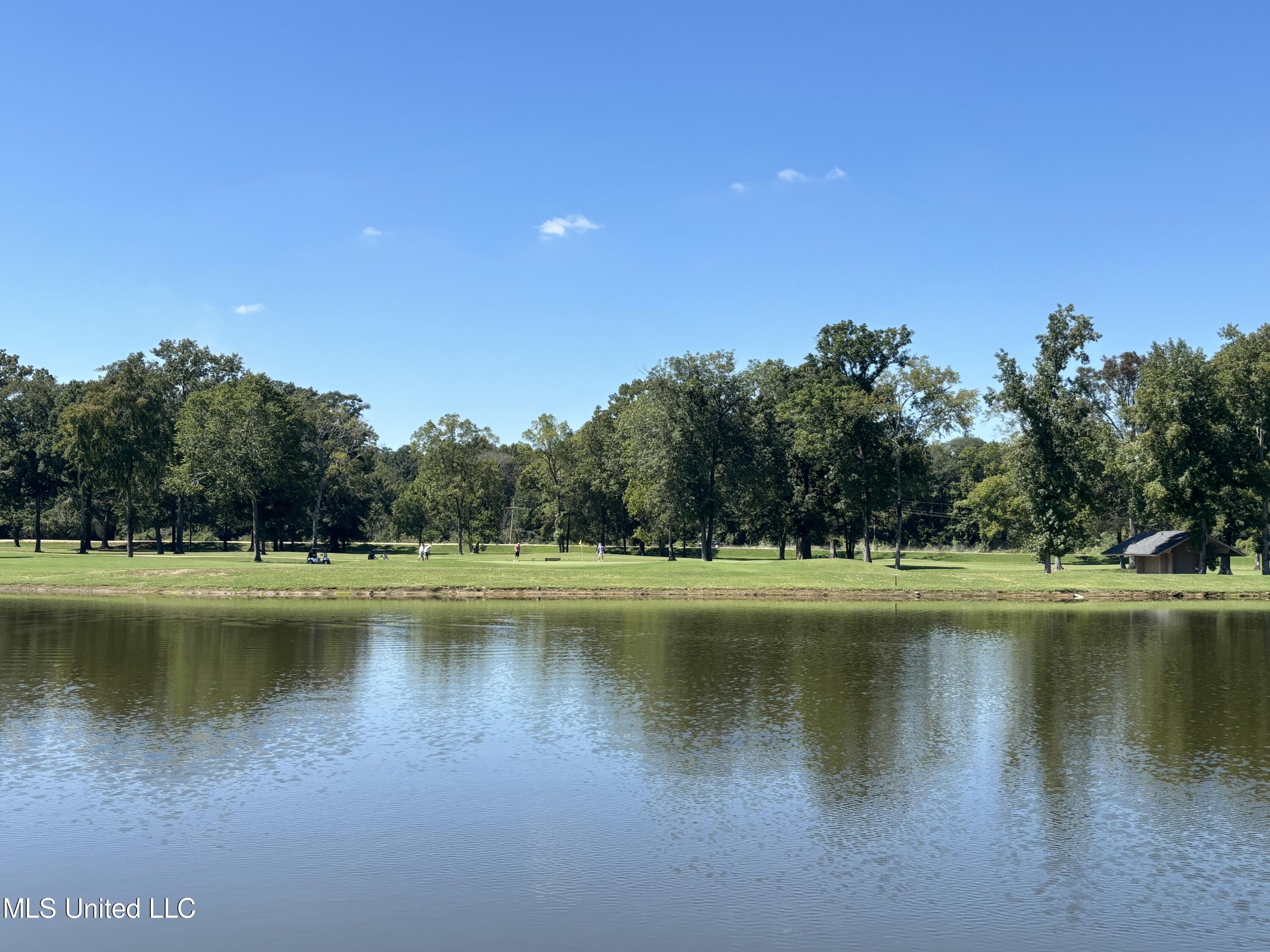 Audubon Woods, Canton, Mississippi image 3