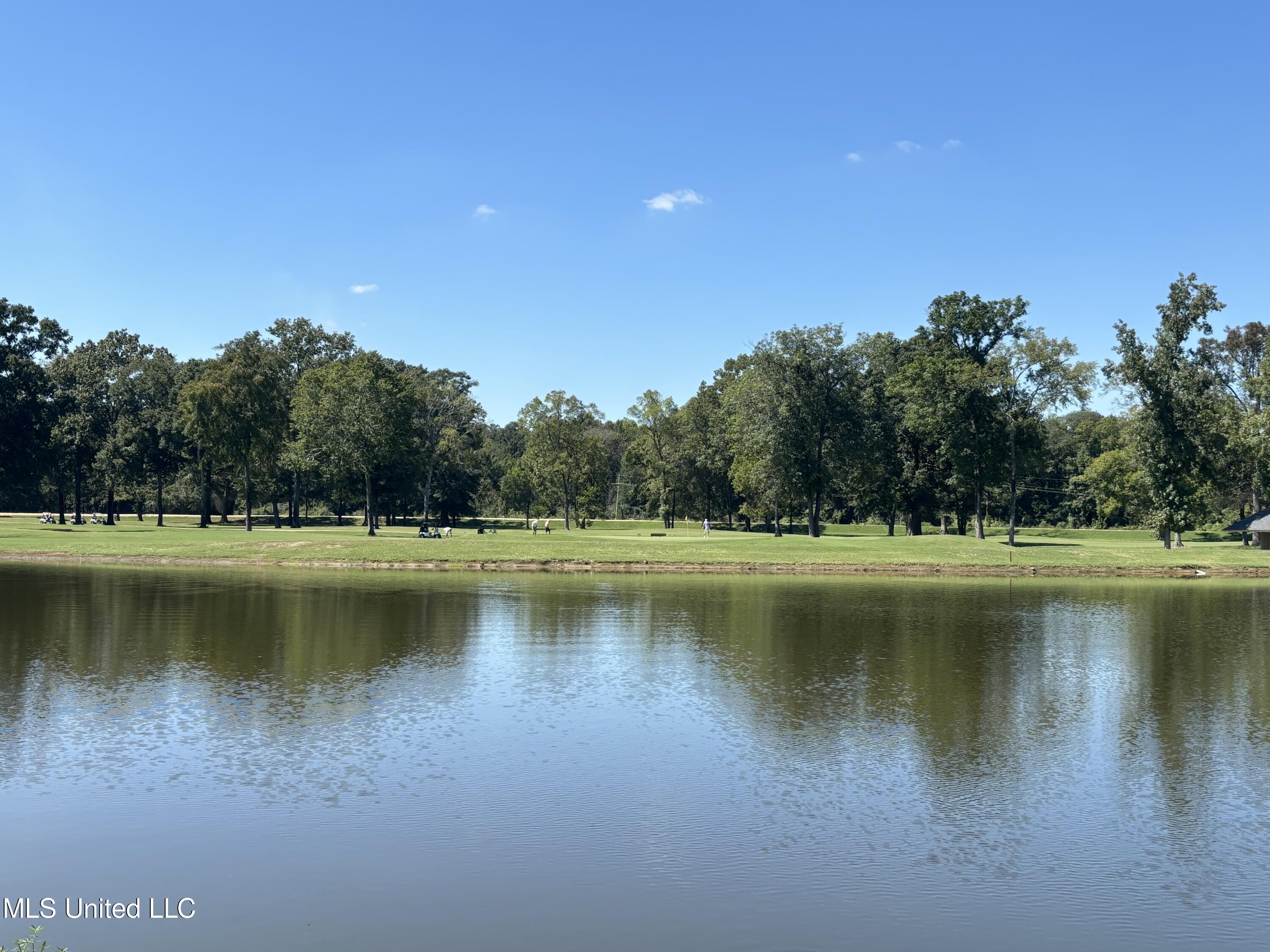 Audubon Woods, Canton, Mississippi image 1