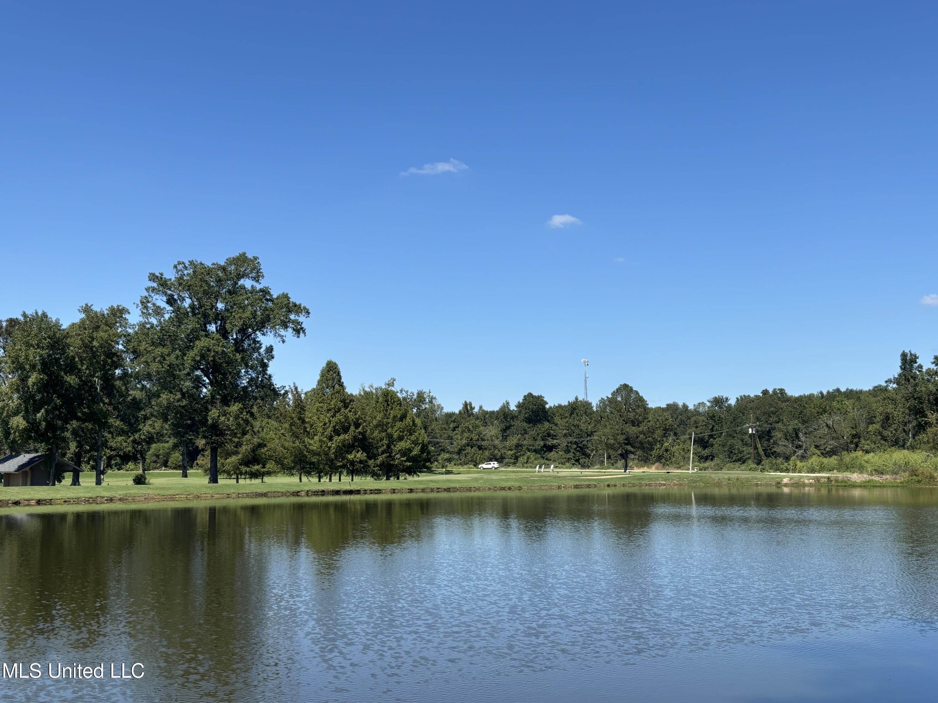 Audubon Woods, Canton, Mississippi image 2