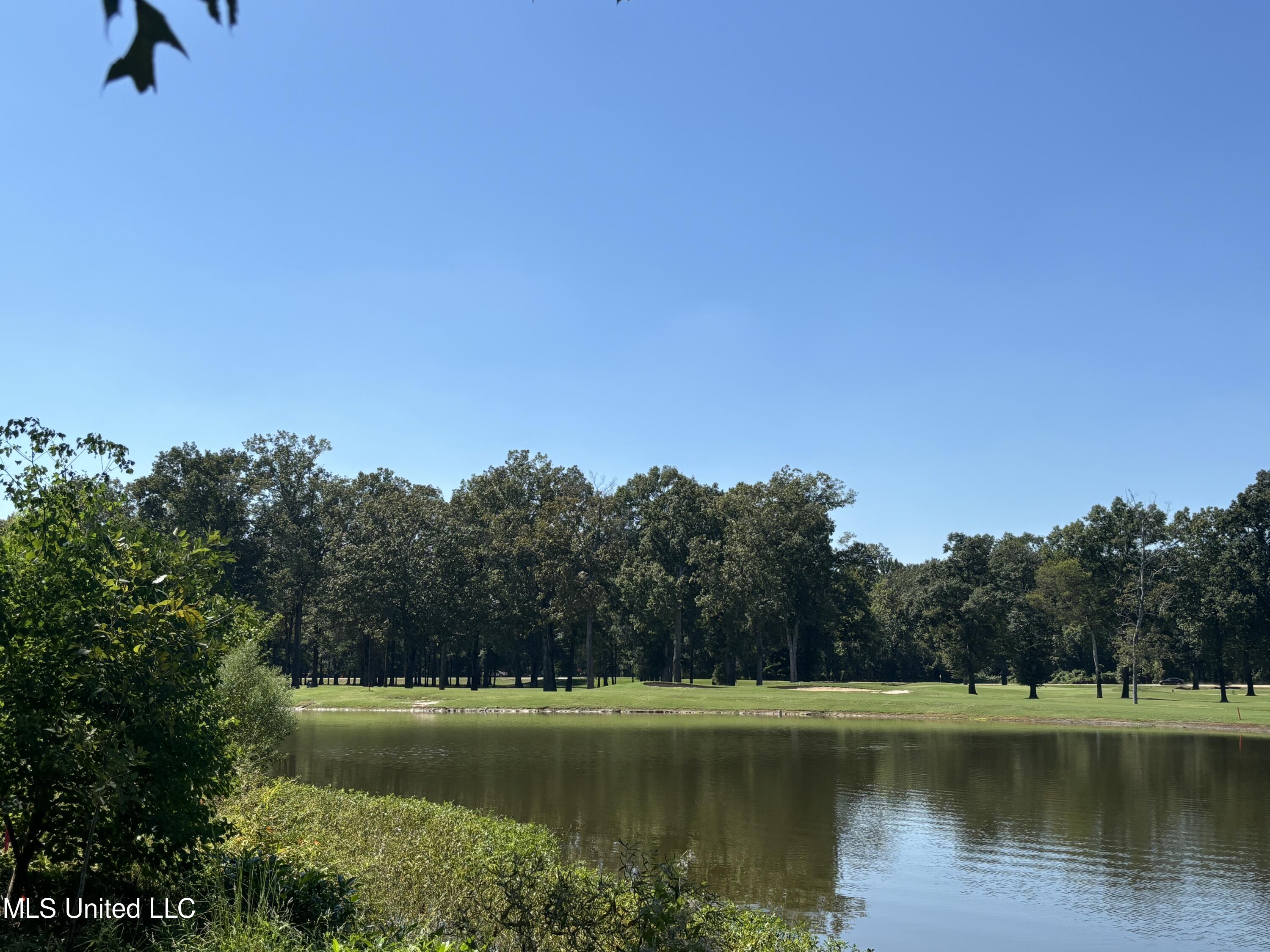 Audubon Woods, Canton, Mississippi image 4