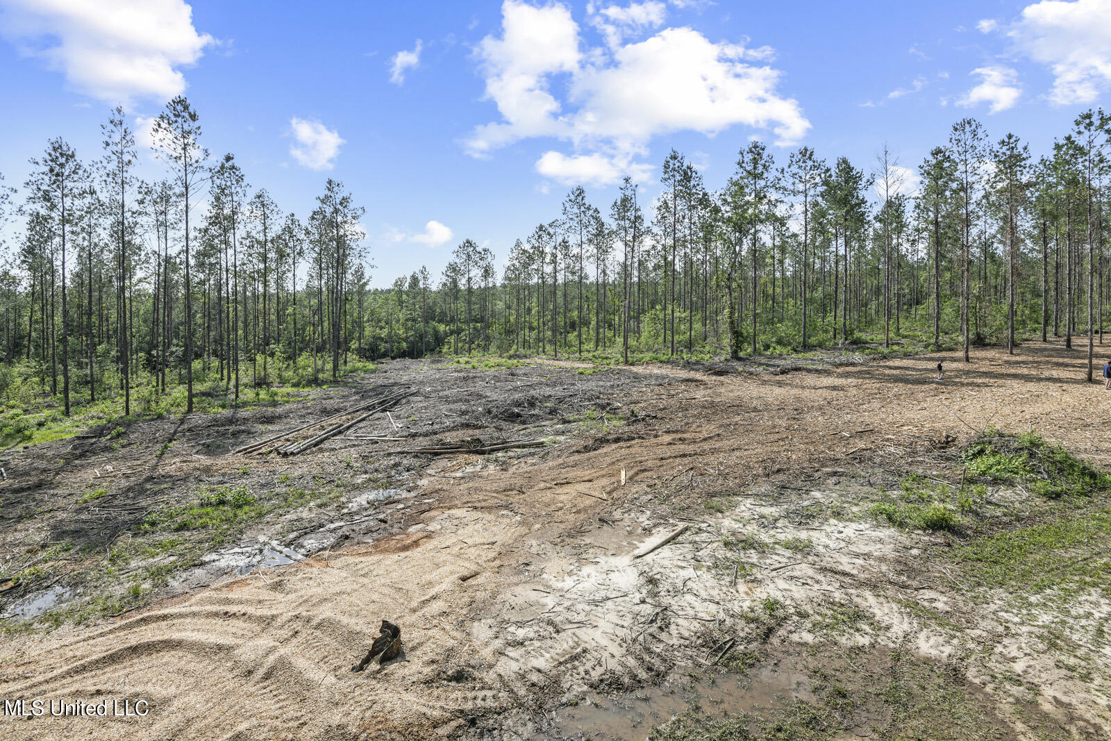 00 Bethel Road, Saucier, Mississippi image 9