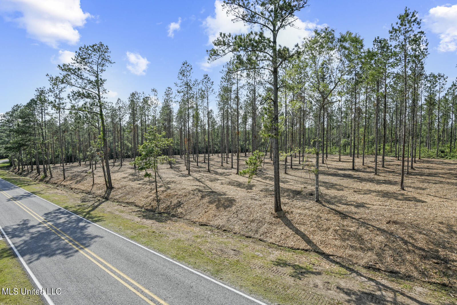 00 Bethel Road, Saucier, Mississippi image 1