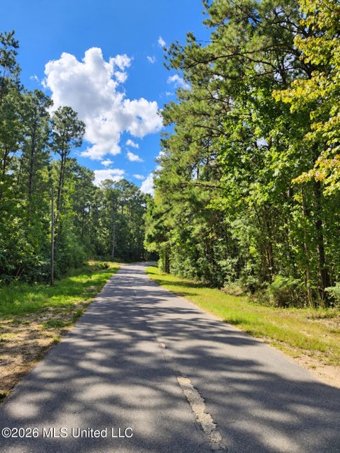 Vacant Land For Sale - LOT 6 NHN Will Thompson<br/> Picayune, MS 39466