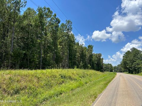 Vacant Land For Sale - TBD Hwy 570/river Road N And S<br/> Pike County, Summit, MS 39666