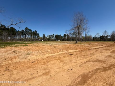 Vacant Land For Sale - LOT 2 Oakley Lane<br/> Lucedale, MS 39452
