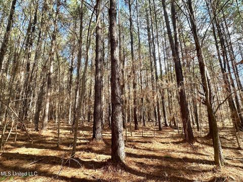 Vacant Land For Sale - 4 Prentiss Crump Road<br/> Terry, MS 39170