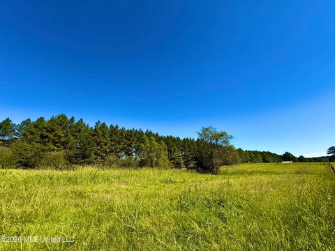 Vacant Land For Sale - 206 Barker Road<br/> Morton, MS 39117
