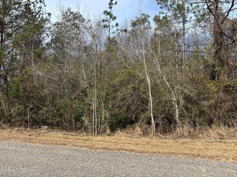 Vacant Land For Sale - 00 Crestwick St. Street<br/> Harrison County, Saucier, MS 39574