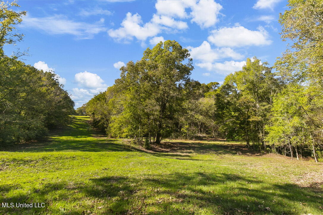 2665b Old Hwy 49, Bentonia, Mississippi image 9