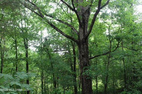 Vacant Land For Sale - 590 Richmond Road<br/> Byhalia, MS 38611