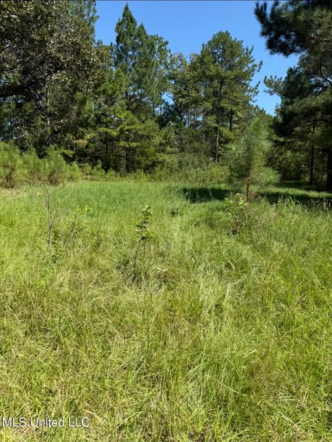 Vacant Land For Sale - County Road 1113<br/> Kosciusko, MS 39090