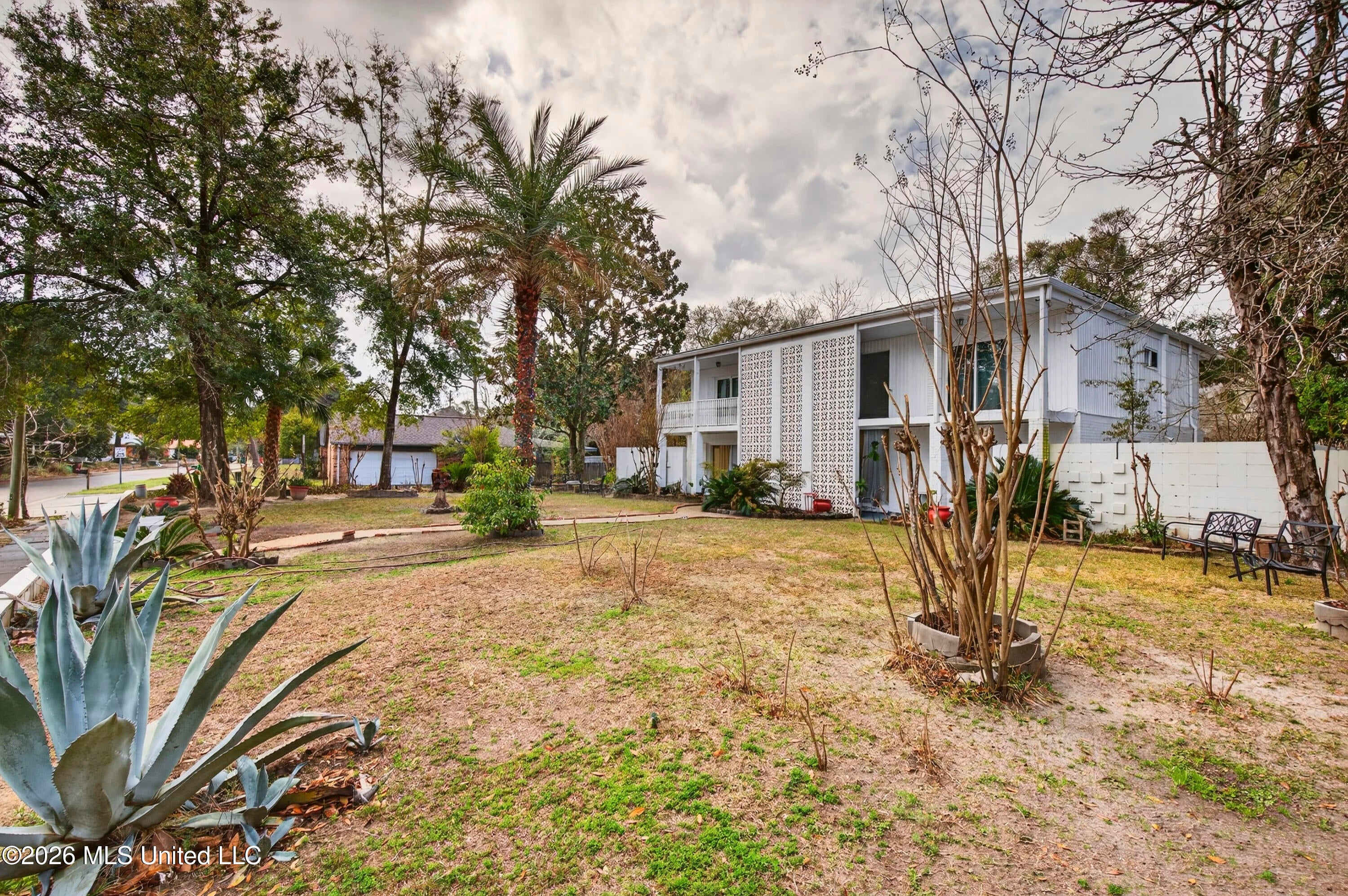 Large lot with palms