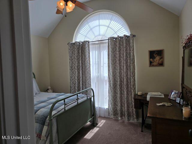 399 Steve Street, Senatobia, Mississippi image 32