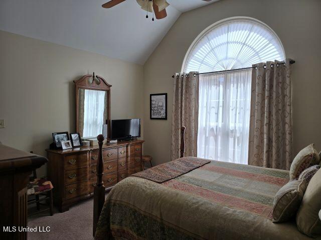 399 Steve Street, Senatobia, Mississippi image 30