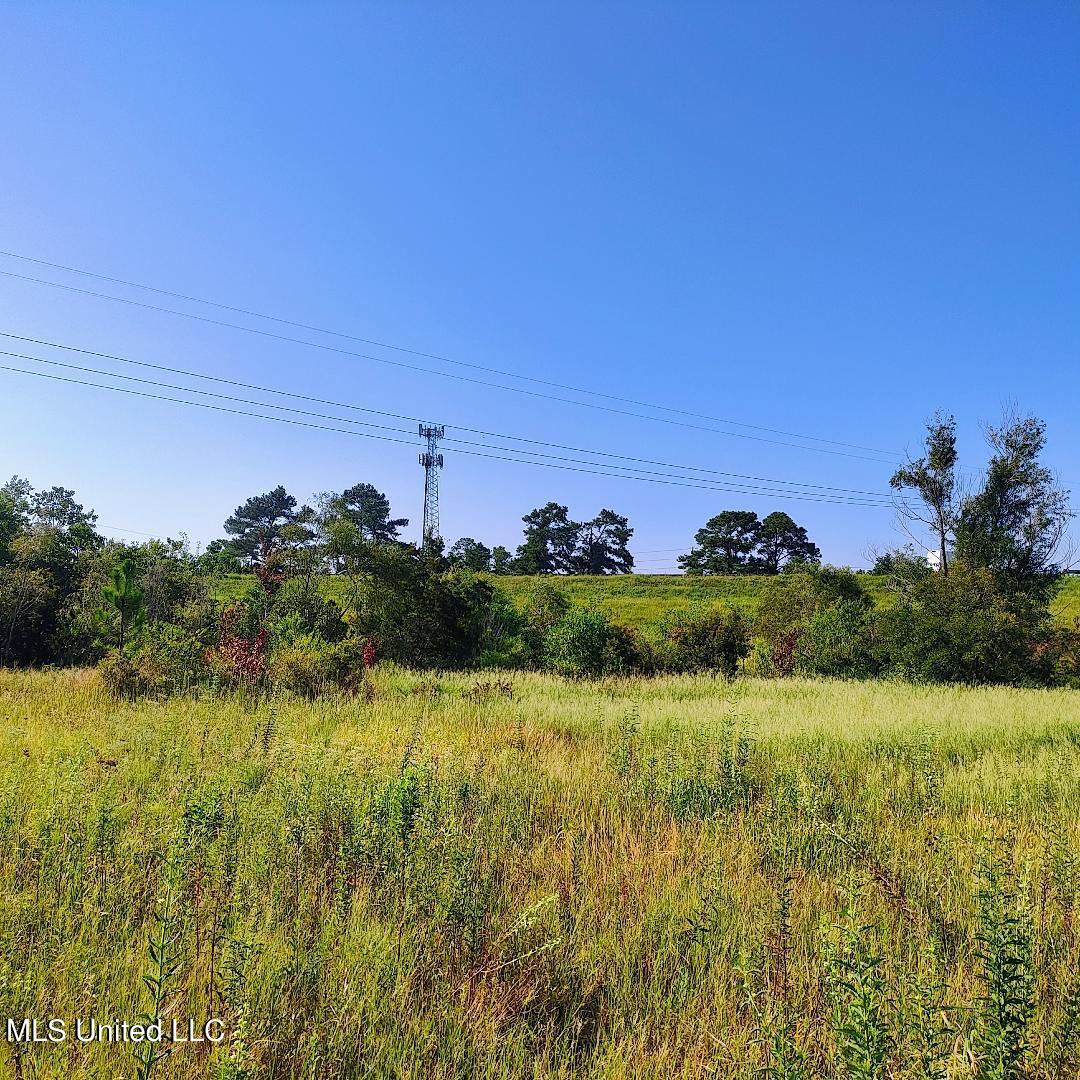 Three Rivers Road, Gulfport, Mississippi image 9