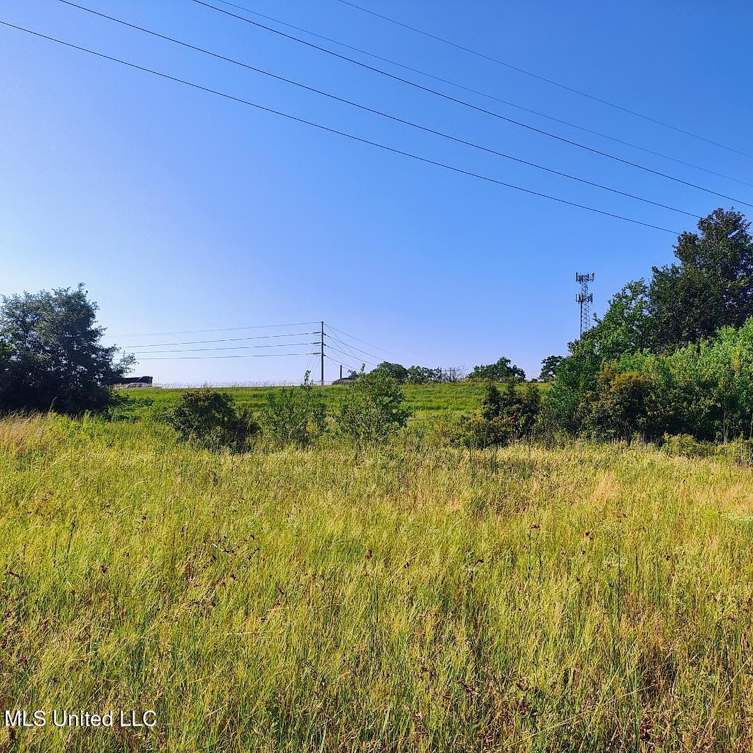 Three Rivers Road, Gulfport, Mississippi image 14