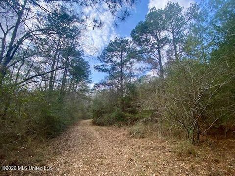 Vacant Land For Sale - 2190 Summit Holmesville Road<br/> Pike County, McComb, MS 39648