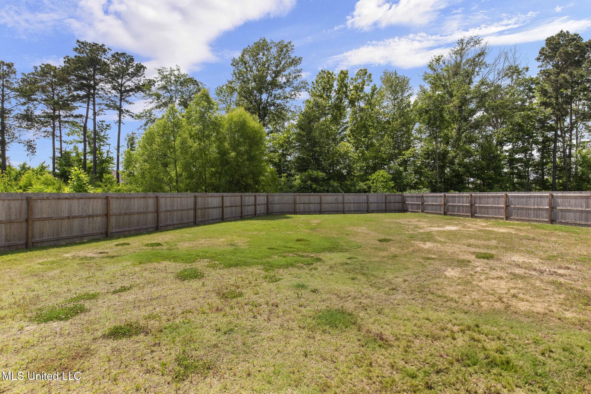 123 Bailey Cove, Canton, Mississippi image 48