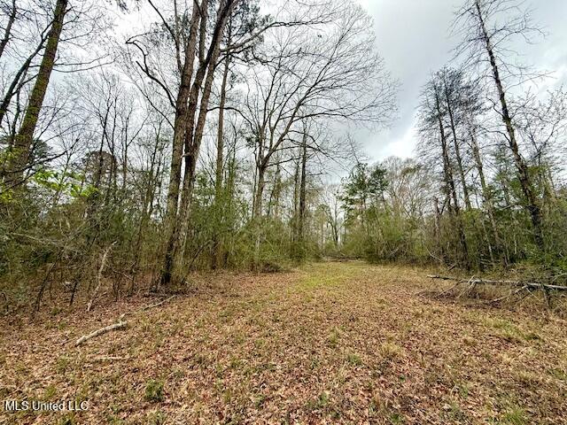 Hwy 568 W, Magnolia, Mississippi image 20