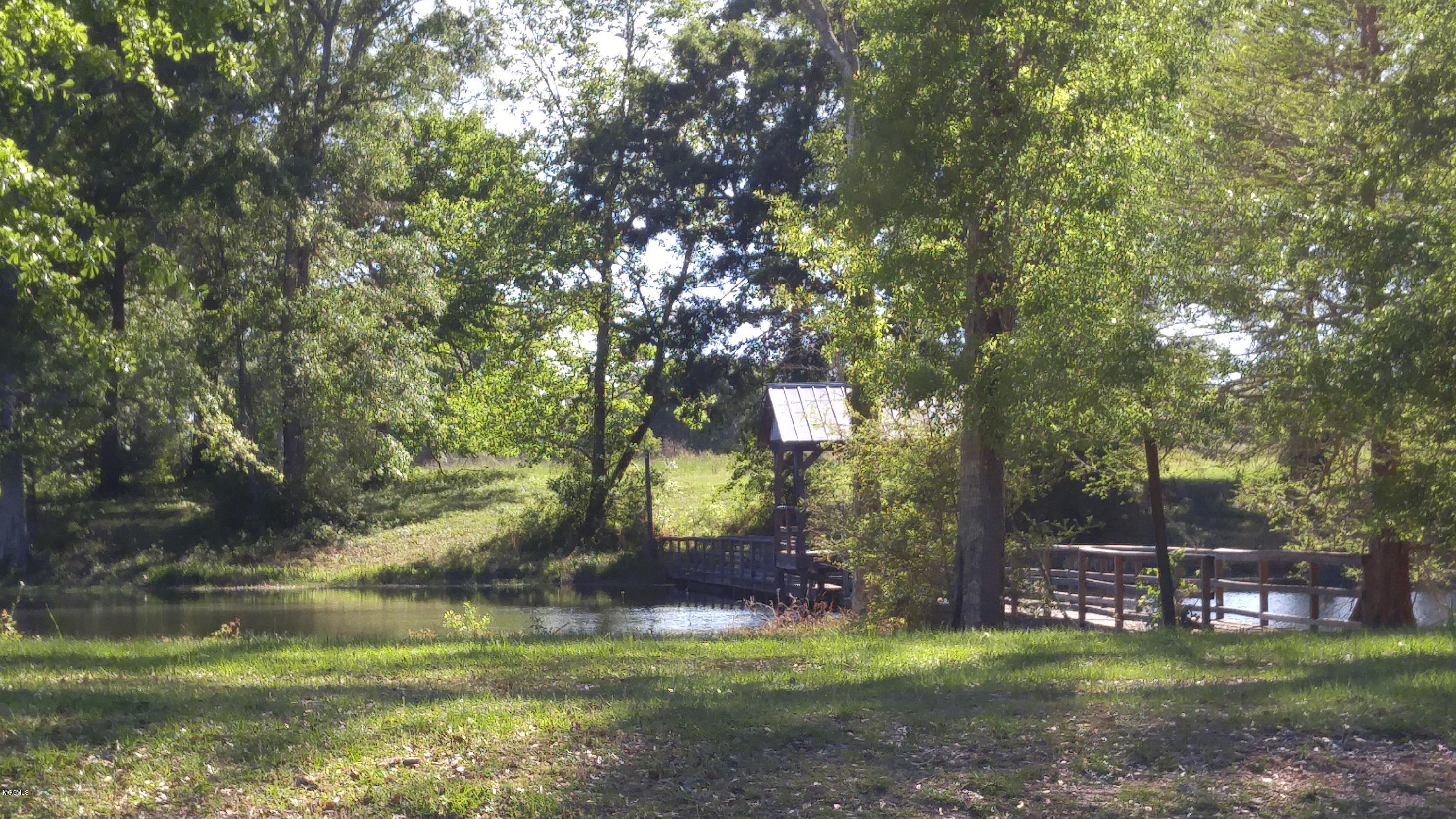 Lot 30 Winding Vale Drive, Poplarville, Mississippi image 5