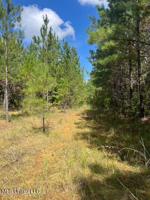 Elijah Graham Road Road, Noxapater, Mississippi image 1