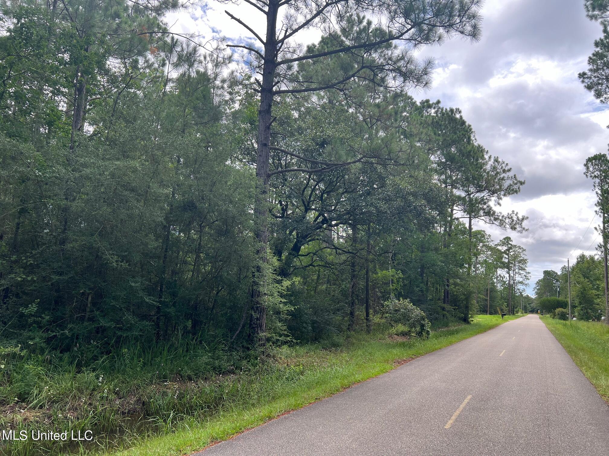 Old Lower Bay Lot 2 Road, Bay Saint Louis, Mississippi image 3