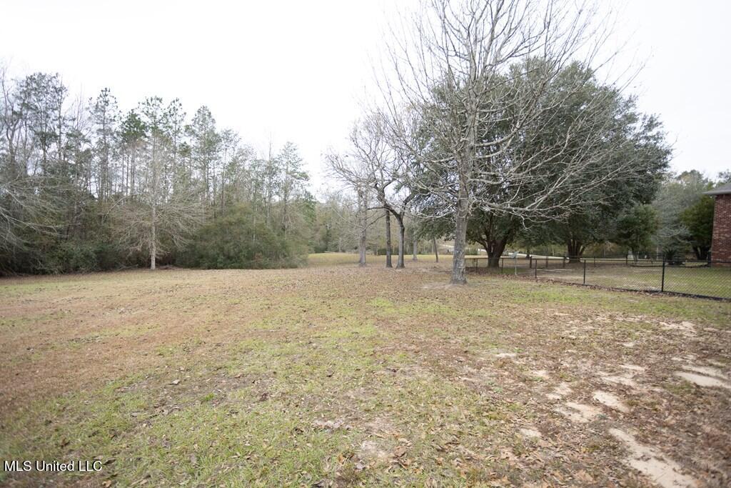 4 Mitchell Cove, Carriere, Mississippi image 27