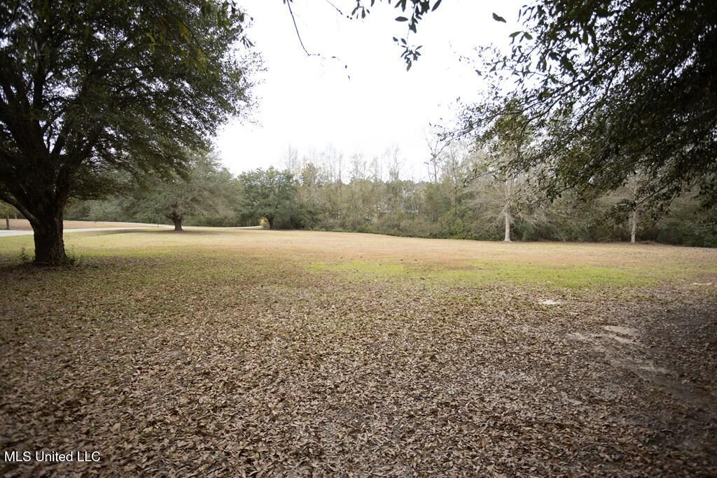 4 Mitchell Cove, Carriere, Mississippi image 29