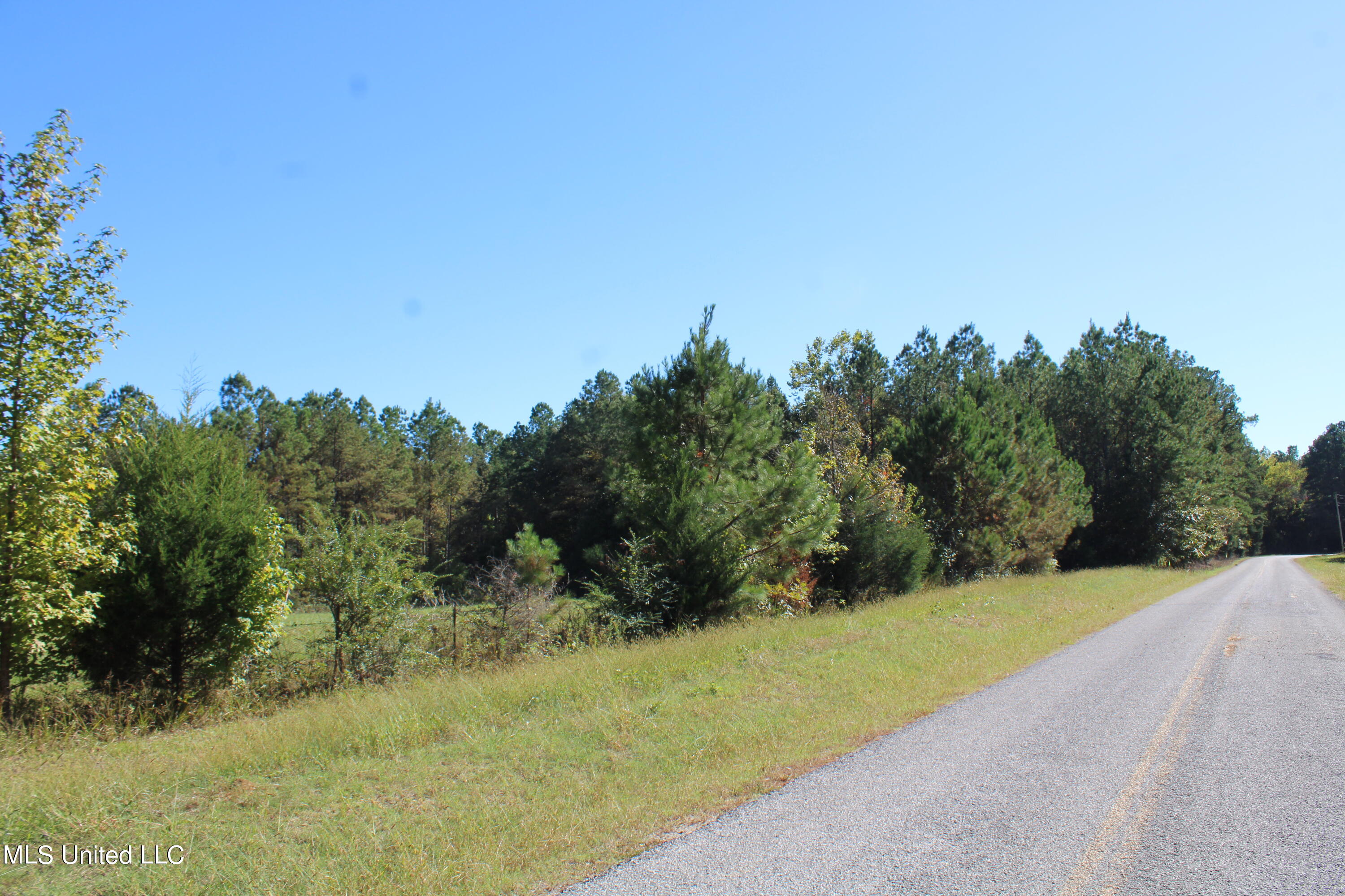 1508 Lower Gurley Road, Potts Camp, Mississippi image 4