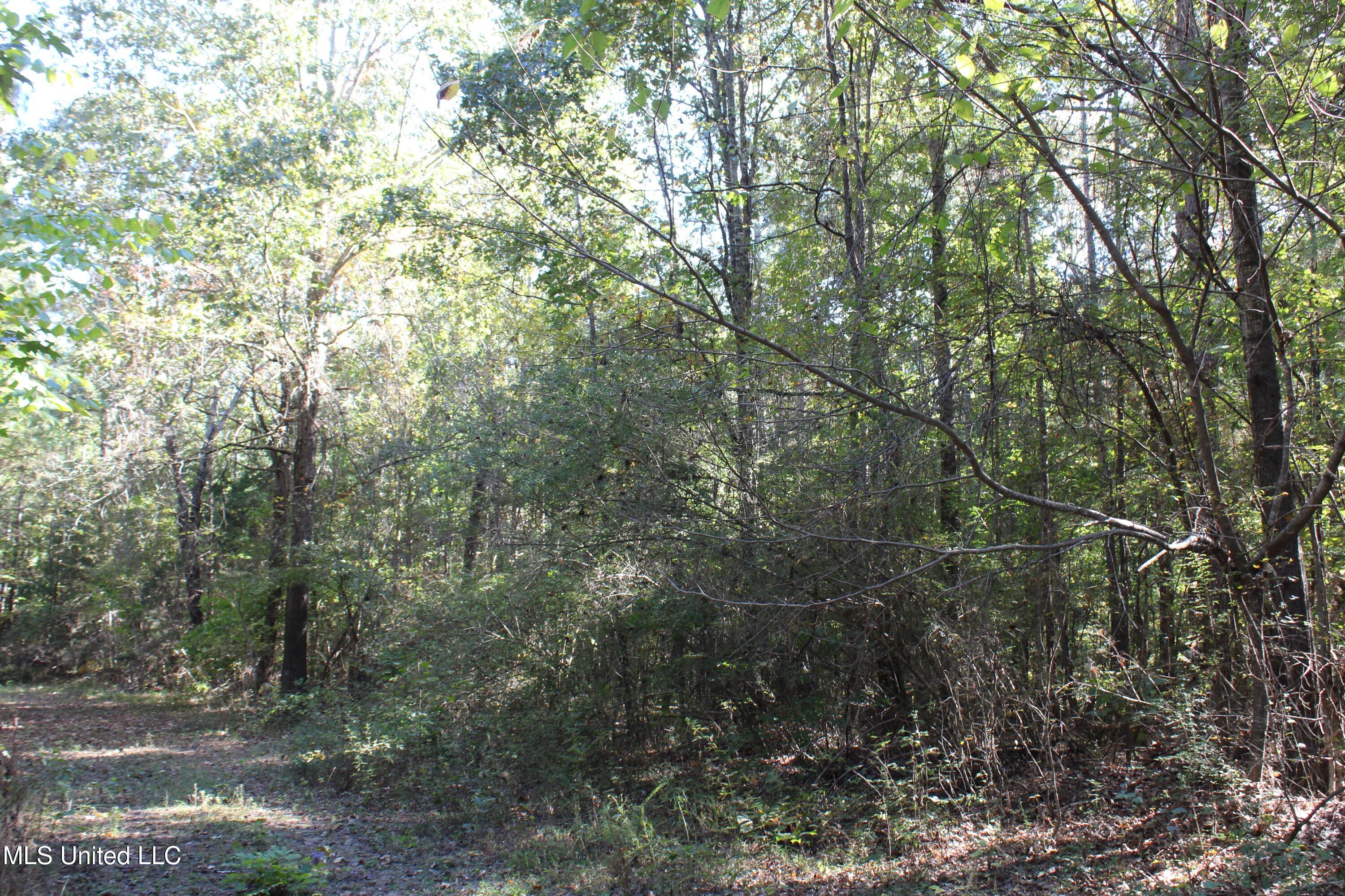 1508 Lower Gurley Road, Potts Camp, Mississippi image 36