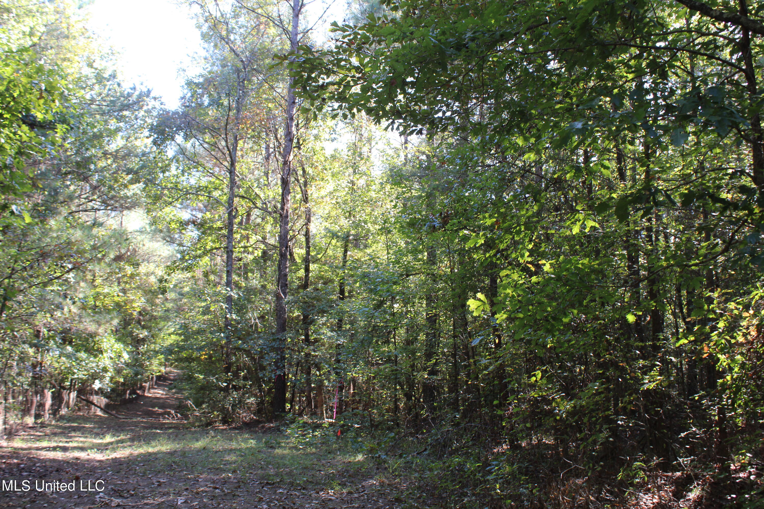 1508 Lower Gurley Road, Potts Camp, Mississippi image 39