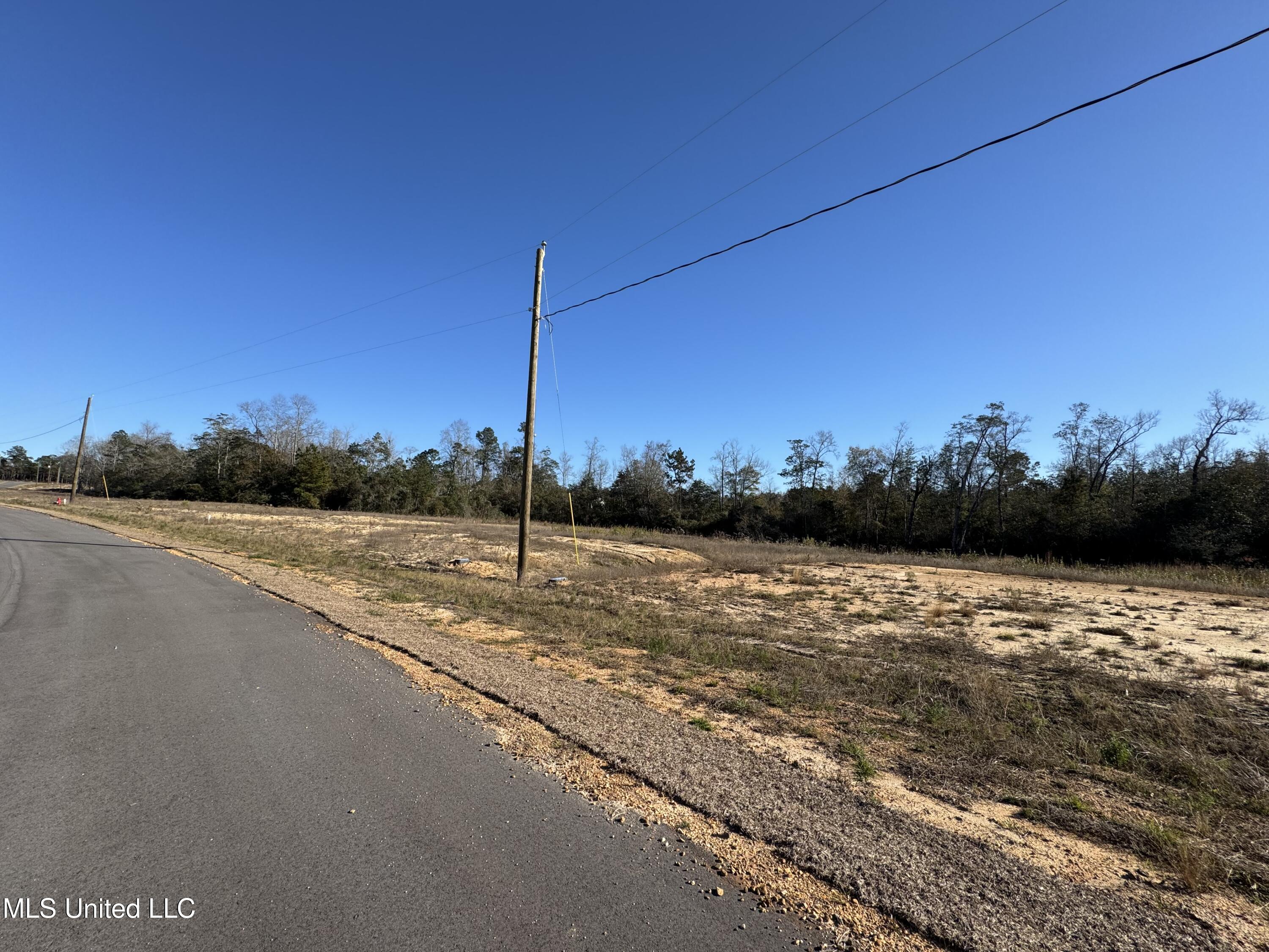 Shadow Wood - Lot 3 Drive, Perkinston, Mississippi image 3