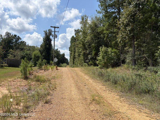 1059 CANDY LN, MCCOMB, MS 39648 - Image 421e2b0aa86d5e2b51259ad381a7ce45/1027182124