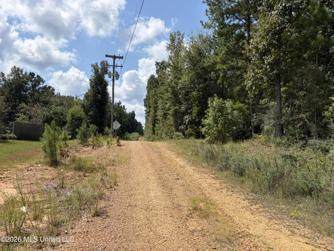 Vacant Land For Sale - 1059 Candy Lane<br/> McComb, MS 39648