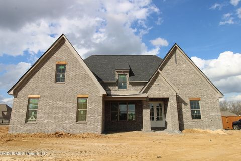 Homes For Sale - 4232 Brooke Drive<br/> Nesbit, MS 38651