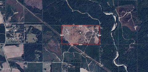 Vacant Land For Sale - 80 AC Off Farmer Drive<br/> Richton, MS 39476