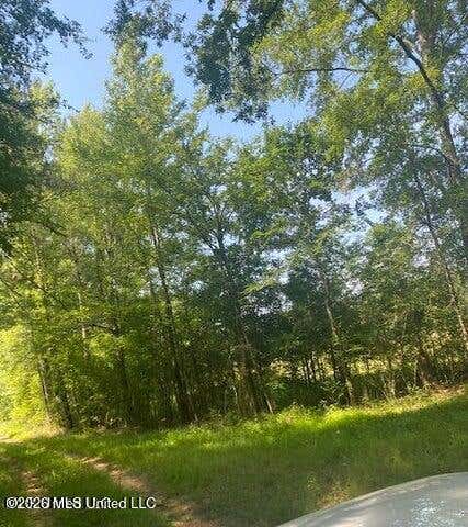 Vacant Land For Sale - 163 Haney Road<br/> Pinola, MS 39149