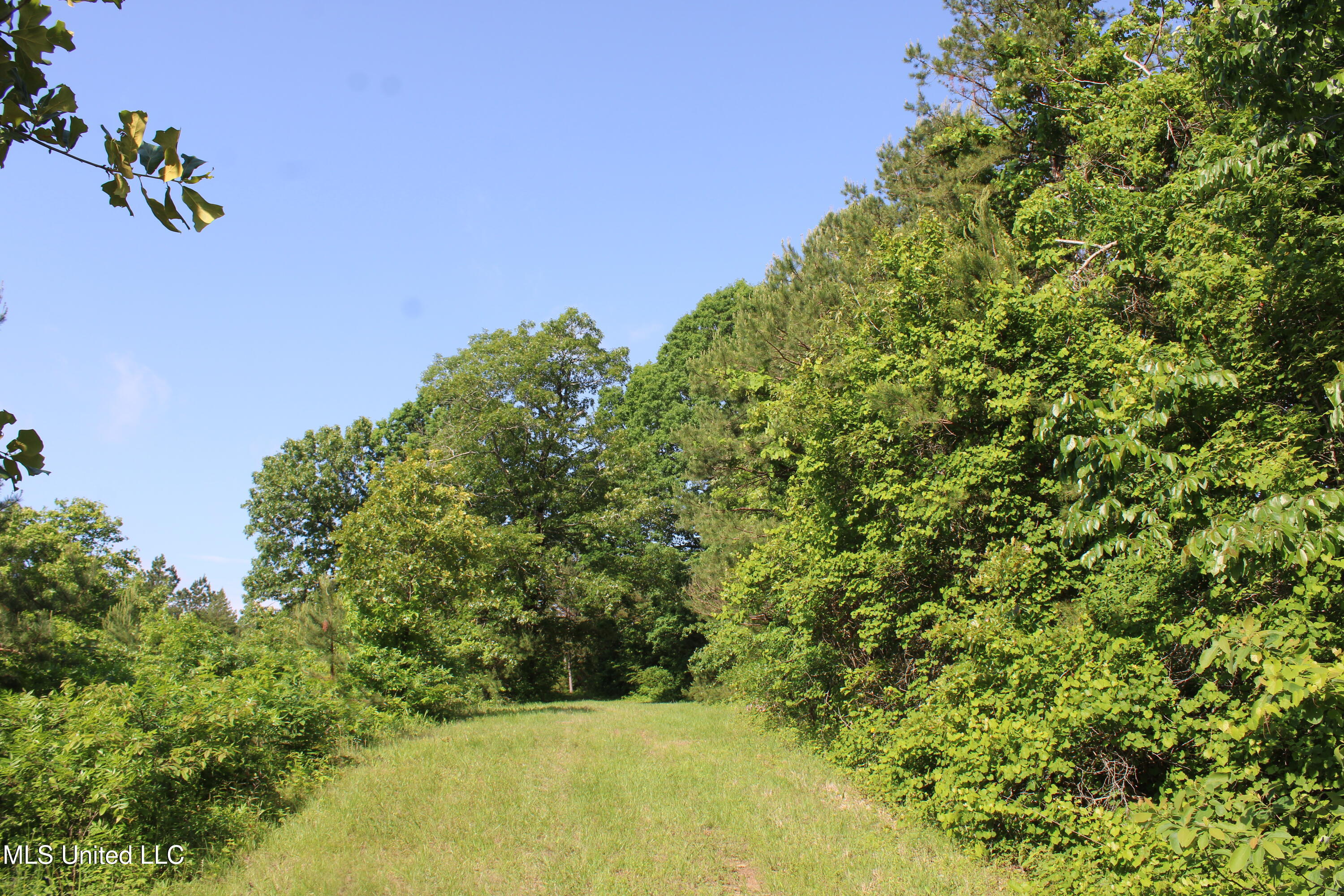 271 Winborn Tower Road, Potts Camp, Mississippi image 29