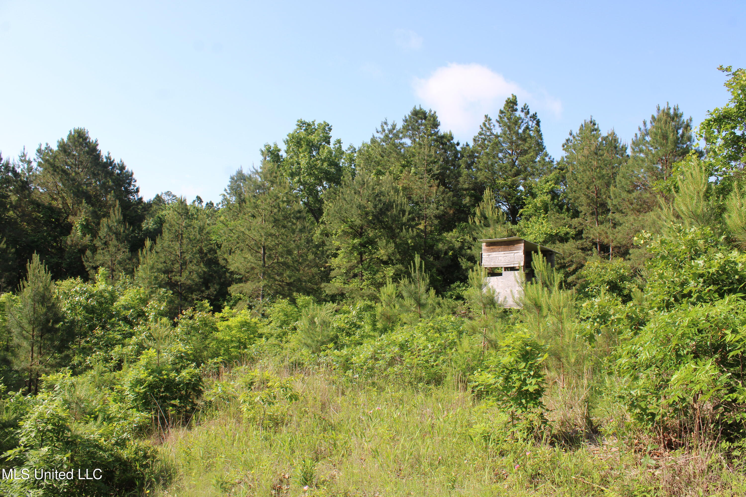271 Winborn Tower Road, Potts Camp, Mississippi image 27
