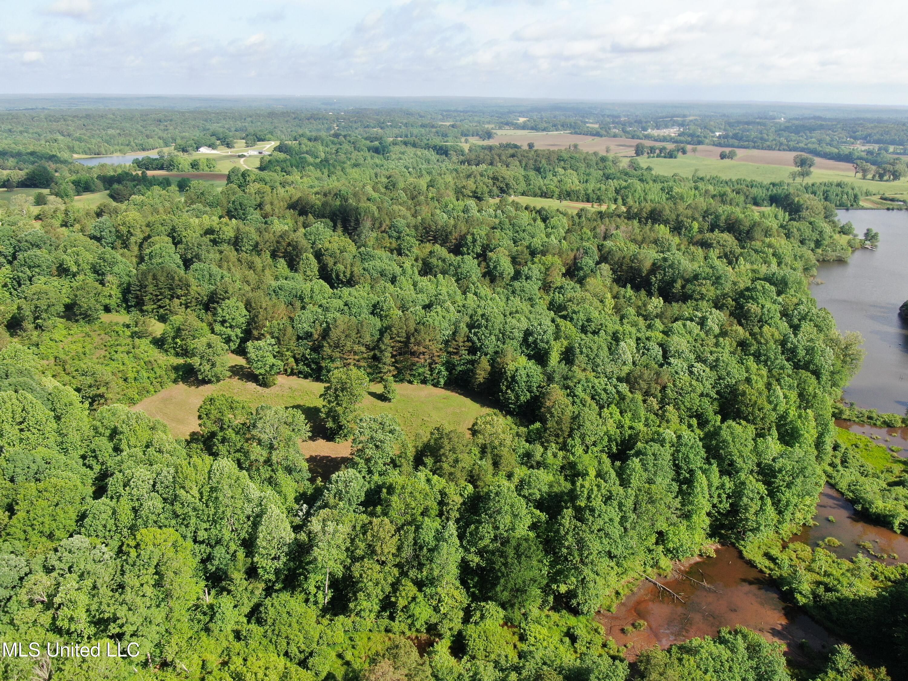 271 Winborn Tower Road, Potts Camp, Mississippi image 7