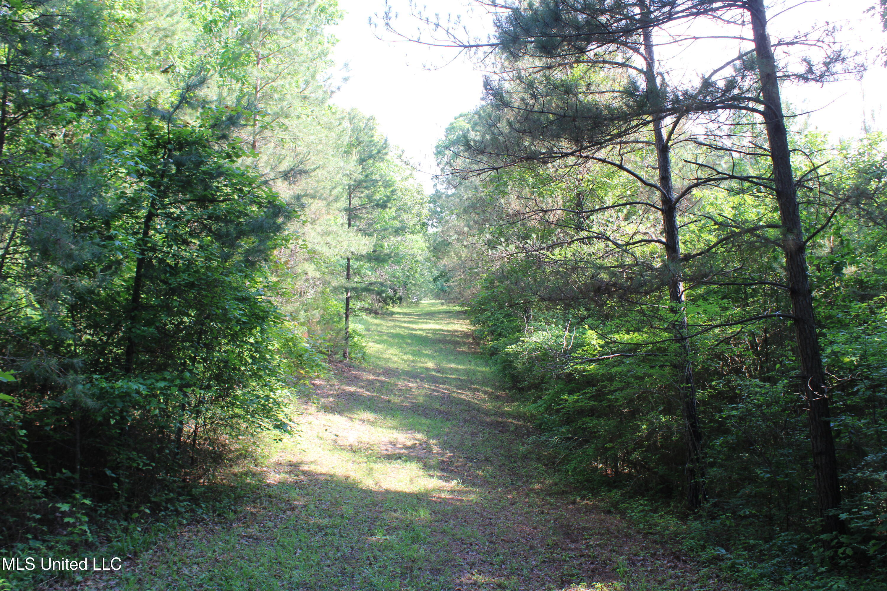 271 Winborn Tower Road, Potts Camp, Mississippi image 22