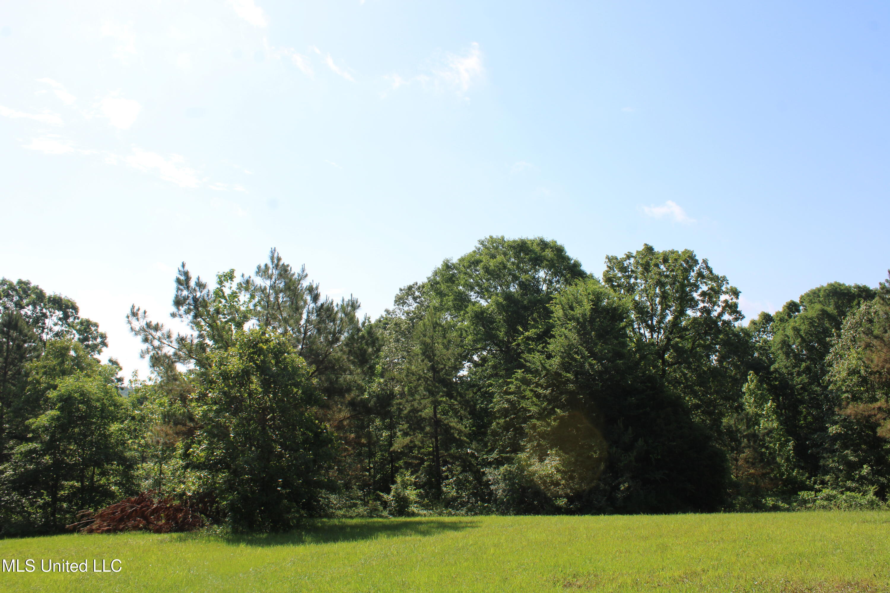 271 Winborn Tower Road, Potts Camp, Mississippi image 41