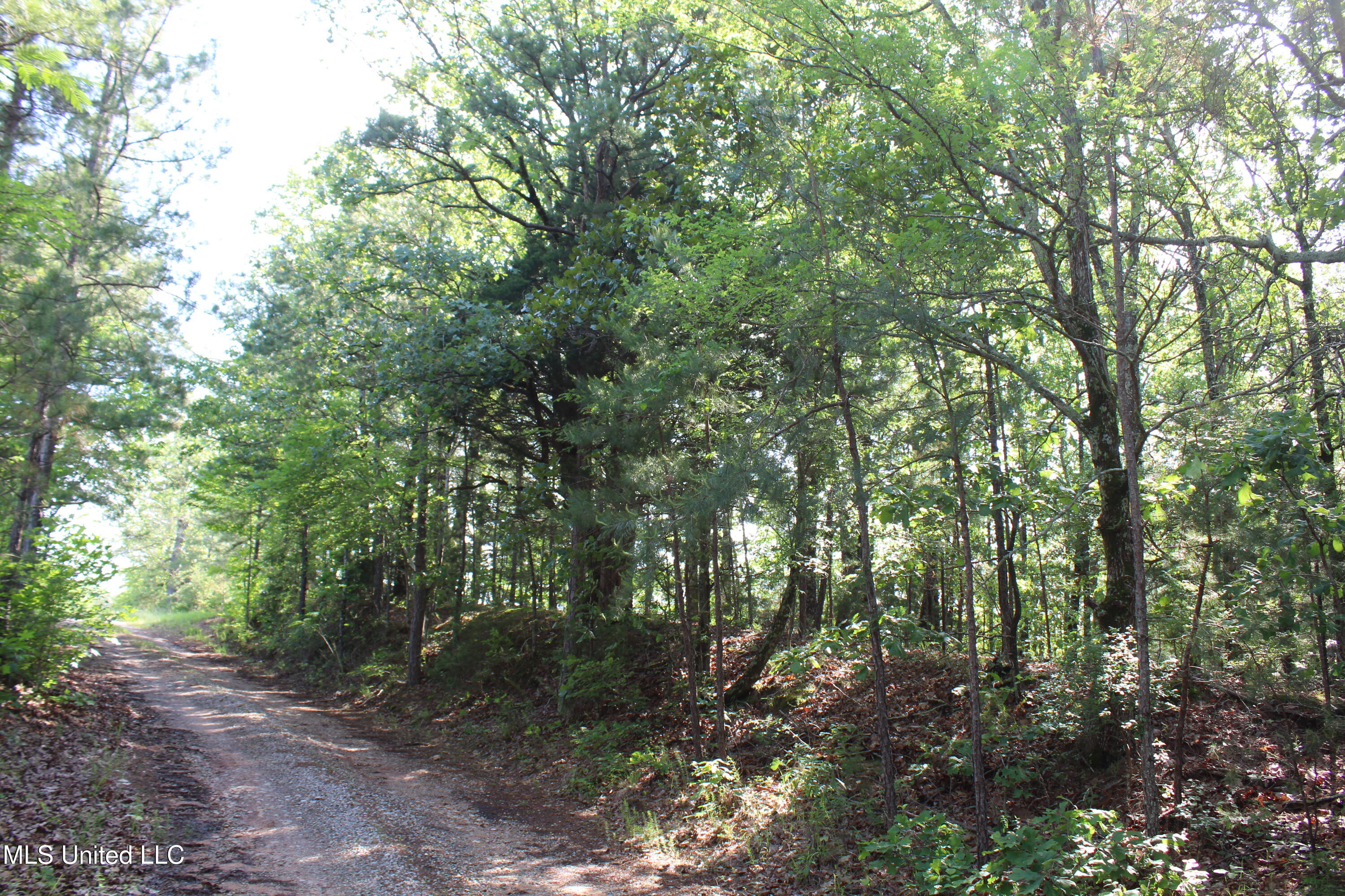271 Winborn Tower Road, Potts Camp, Mississippi image 46